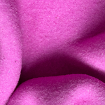"Blush Fold" 2025