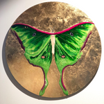 "Actias Luna" 2021
