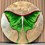 "Actias Luna" 2021