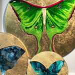 "Actias Luna" 2021